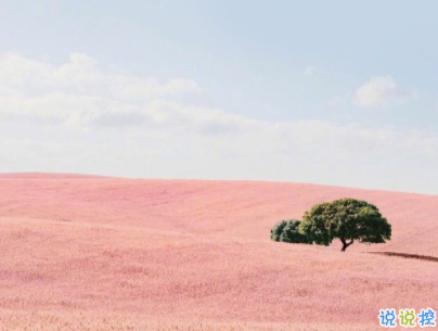 小清新唯美短句帶圖片 微信干凈又舒服的說說2