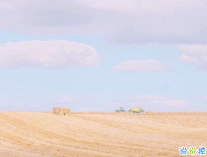 小清新唯美短句帶圖片 微信干凈又舒服的說說3