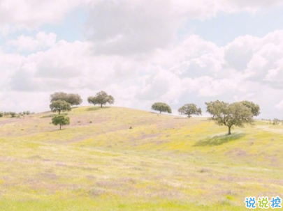 小清新唯美短句帶圖片 微信干凈又舒服的說說14