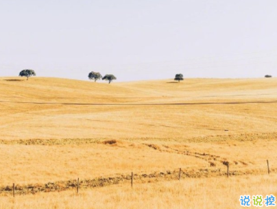 小清新唯美短句帶圖片 微信干凈又舒服的說說11