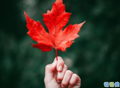 小清新唯美短句帶圖片 微信干凈又舒服的說說10