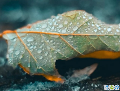 小清新唯美短句帶圖片 微信干凈又舒服的說說7