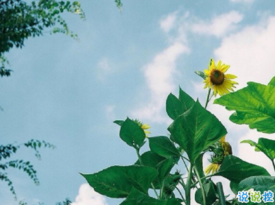 朋友圈治愈系暖心說說帶圖片 簡短經(jīng)典溫暖句子精選4