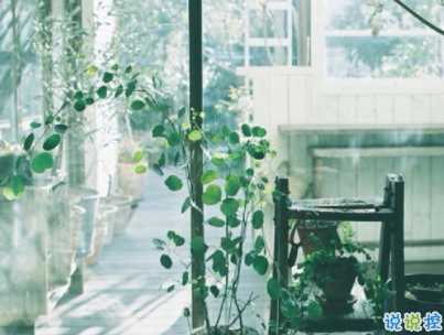 朋友圈治愈系暖心說說帶圖片 簡短經(jīng)典溫暖句子精選12