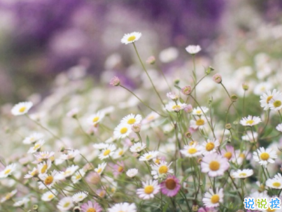 朋友圈治愈系暖心說說帶圖片 簡短經(jīng)典溫暖句子精選13