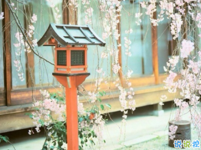 朋友圈治愈系暖心說說帶圖片 簡短經(jīng)典溫暖句子精選15