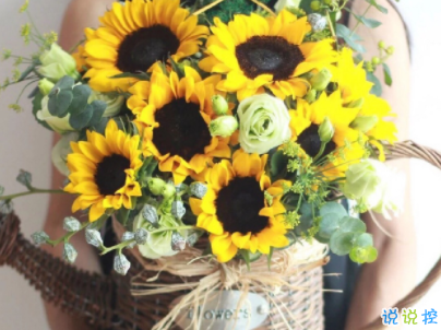 朋友圈治愈系暖心說說帶圖片 簡短經(jīng)典溫暖句子精選6