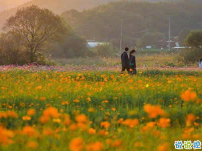 女生可愛朋友圈說說帶圖片 小仙女專屬可愛呆萌說說2