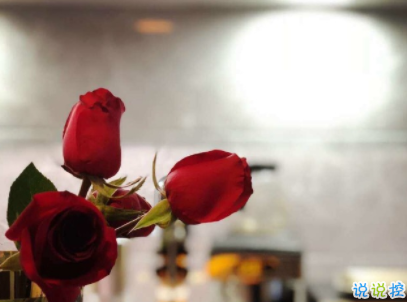 抖音男生傷感語(yǔ)錄大全 一句話擊中脆弱男生的心1