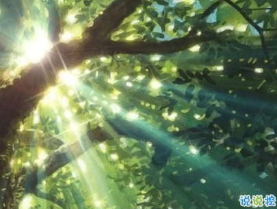 壓抑憋屈的心情短句帶圖片 別贏了道理輸了感情8