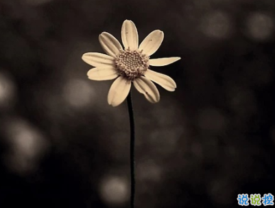 壓抑憋屈的心情短句帶圖片 別贏了道理輸了感情4