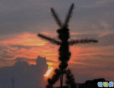 天冷幽默說說大全2019 冬天來了的微信說說好冷1