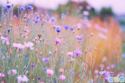 充滿希望的正能量句子 鼓舞所有人的勵(lì)志哲理文字1