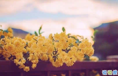 充滿希望的正能量句子 鼓舞所有人的勵(lì)志哲理文字2