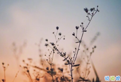 結(jié)婚紀(jì)念日說(shuō)說(shuō)溫暖甜蜜 關(guān)于結(jié)婚紀(jì)念日的說(shuō)說(shuō)大全1