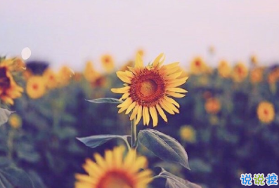 結(jié)婚紀(jì)念日說(shuō)說(shuō)溫暖甜蜜 關(guān)于結(jié)婚紀(jì)念日的說(shuō)說(shuō)大全2