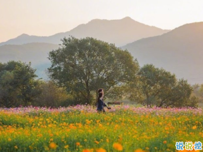 朋友圈早安勵志句子帶圖片 每日一句早安問候語5