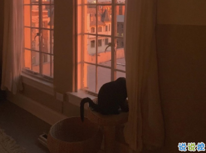 朋友圈早安勵志句子帶圖片 每日一句早安問候語3