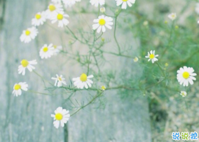 朋友圈早安勵志句子帶圖片 每日一句早安問候語1