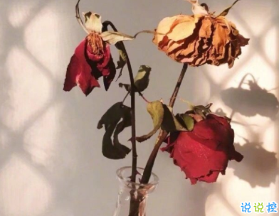 31條一句話經(jīng)典語錄2020最新 很有內(nèi)涵的經(jīng)典說說2