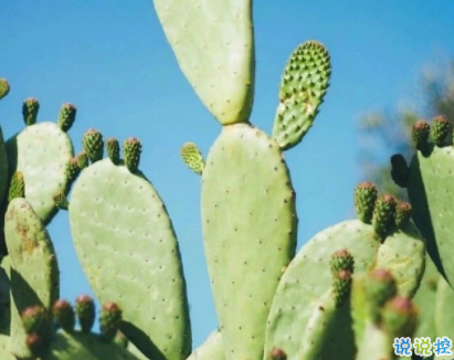 31條一句話經(jīng)典語錄2020最新 很有內(nèi)涵的經(jīng)典說說1