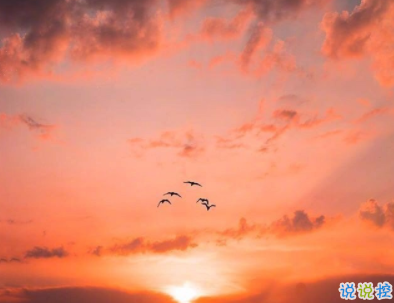 微信個(gè)性說說簡(jiǎn)單一句話配圖 十分精辟的短句帶圖片3