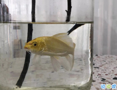 微信個(gè)性說說簡(jiǎn)單一句話配圖 十分精辟的短句帶圖片10