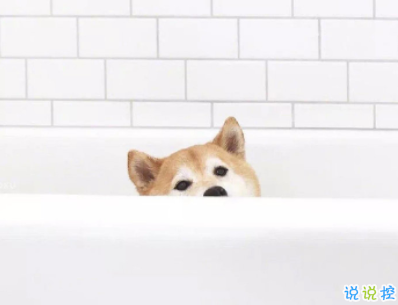 微信個(gè)性說說簡(jiǎn)單一句話配圖 十分精辟的短句帶圖片13