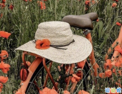 微信個(gè)性說說簡(jiǎn)單一句話配圖 十分精辟的短句帶圖片1