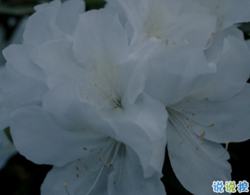 用一句話安慰剛分手的人 安慰失戀人的句子溫暖走心1