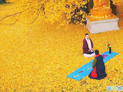 賞銀杏的朋友圈說(shuō)說(shuō)帶圖片 有關(guān)銀杏的唯美說(shuō)說(shuō)配圖10