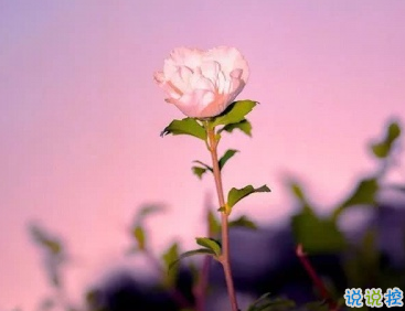 宣布結(jié)婚文案怎么寫 朋友圈宣布結(jié)婚文案大全很甜2