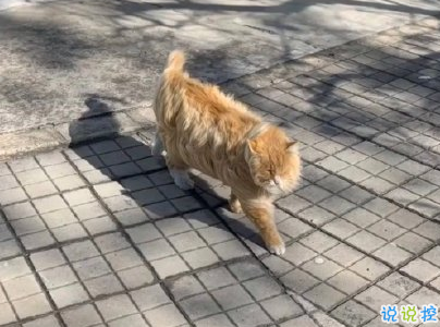 外面大風(fēng)的句子說說帶圖片 風(fēng)太大的心情短語發(fā)朋友圈5