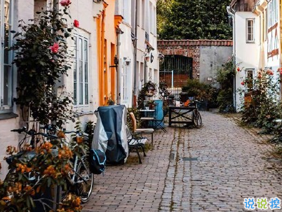 外面大風(fēng)的句子說說帶圖片 風(fēng)太大的心情短語發(fā)朋友圈9