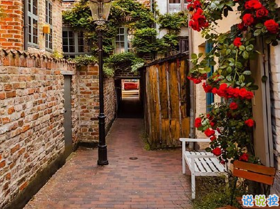 外面大風(fēng)的句子說說帶圖片 風(fēng)太大的心情短語發(fā)朋友圈14