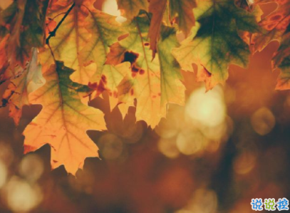 15條抖音最火經(jīng)典說說帶圖片 說給女生聽的話很經(jīng)典2