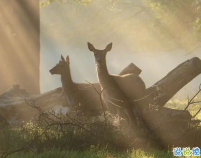 適合早上朋友圈的勵志語錄 知足上進不辜負(fù)野心1