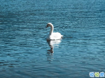 男生被傷了心的說說 男生傷感語錄很扎心2
