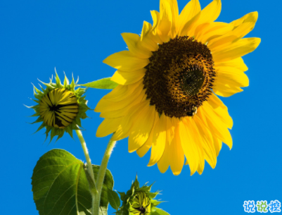 簡單的幸福說說帶圖片 女生甜如蜜的幸福說說4