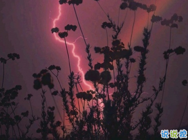 寫給心累的自己疲憊不堪 特別心累的句子20202