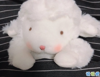 朋友圈花式秀恩愛(ài)文字 虐狗的秀恩愛(ài)句子大全2