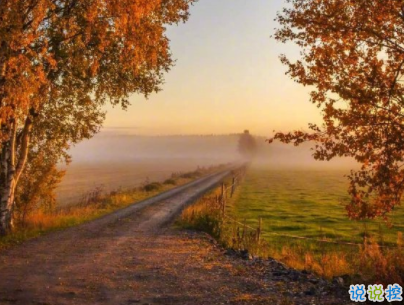 抖音網(wǎng)紅傷感句子帶圖片 虐哭所有人的說(shuō)說(shuō)超扎心9