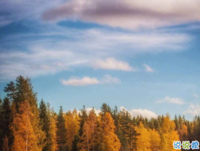 抖音網(wǎng)紅傷感句子帶圖片 虐哭所有人的說(shuō)說(shuō)超扎心14