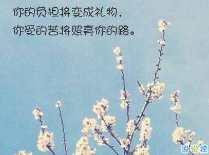 經(jīng)典文藝短句子帶圖片 越努力越幸運13