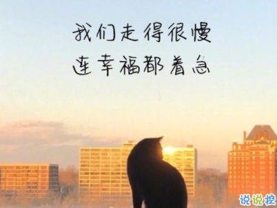 經(jīng)典文藝短句子帶圖片 越努力越幸運5