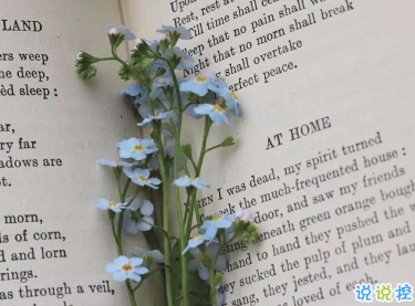 回憶過去的傷感愛情說說 永遠忘不掉某人的說說2