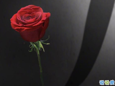 人生感悟經(jīng)典句子帶圖片 一生收益的經(jīng)典說(shuō)說(shuō)13