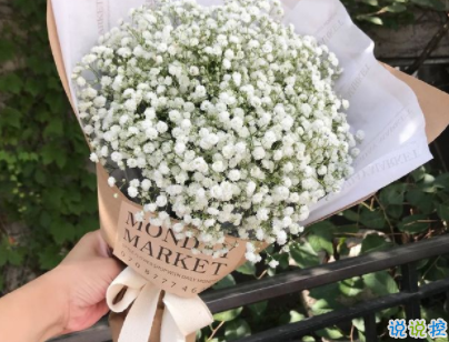 熱愛(ài)生活積極向上的朋友圈句子 陽(yáng)光勵(lì)志說(shuō)說(shuō)致所有人1