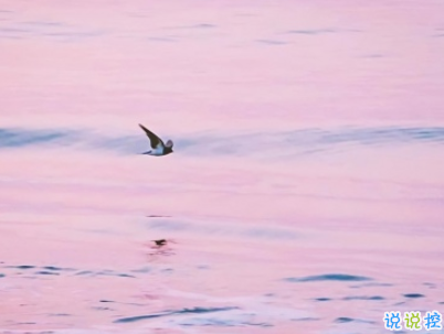 今年流行的搞笑說說帶圖片 輕松有趣的說說配圖5