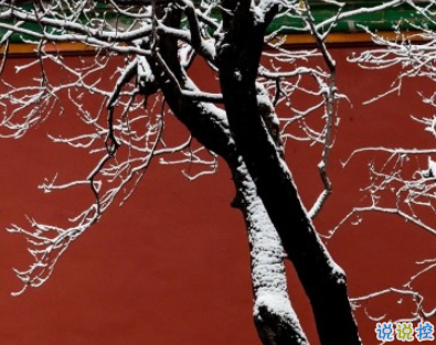 適合初雪發(fā)的文案文藝范 初雪的唯美說說發(fā)朋友圈2